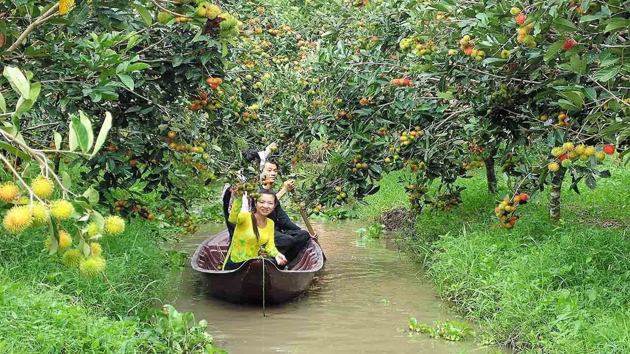 Điểm du lịch sinh thái được yêu thích nhất năm 2022 là Cần Thơ.