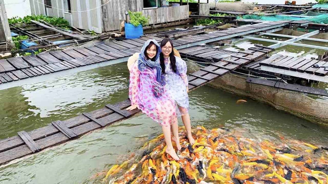 Điểm du lịch sinh thái được yêu thích nhất năm 2022 là Cần Thơ.