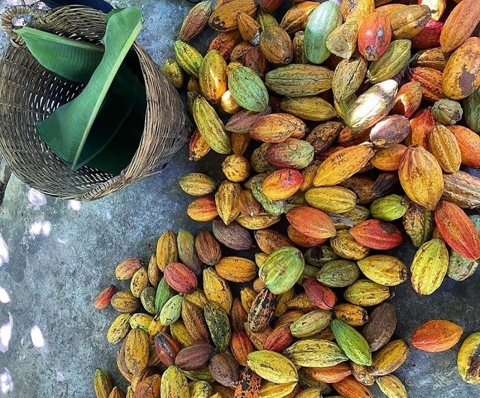 Những miệt vườn, địa điểm du lịch nổi tiếng được du lịch Phong Điền Cần Thơ khám phá.