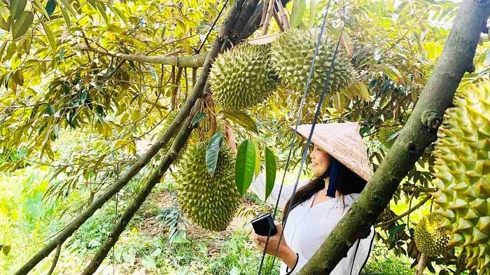 Khu du lịch sinh thái Bảy Tiên là điểm thư giãn nổi tiếng ở Cần Thơ.