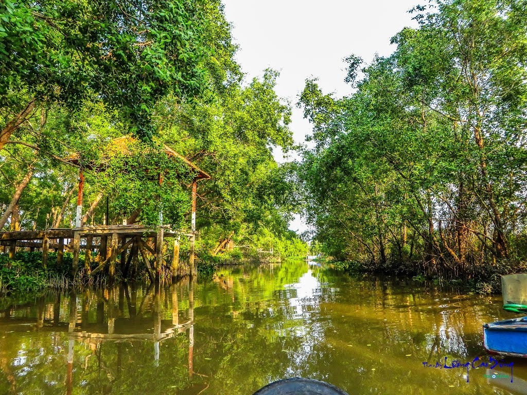 Review trải nghiệm Cồn Ấu Cần Thơ của du khách lần đầu