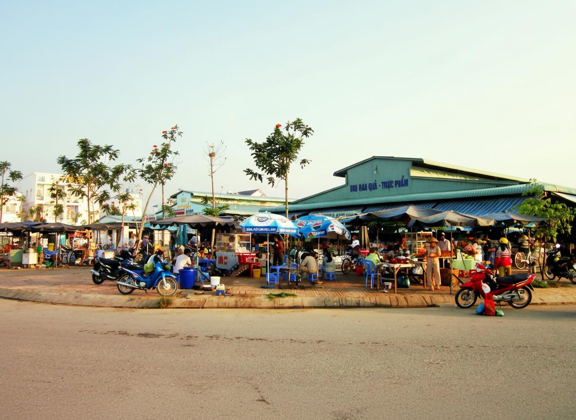 Thị Xã Phong Điền Cần Thơ Thành Lập Khi Nào: 5 Điều Cần Biết [Quy Hoạch & Ba Láng]