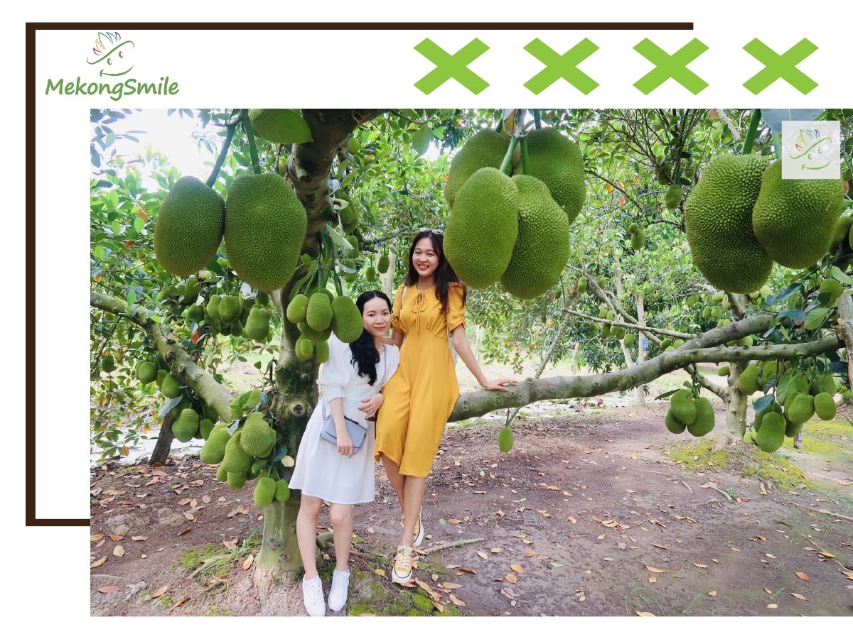 Top 21 vườn trái cây đẹp nhất Cần Thơ không thể bỏ qua (2022)