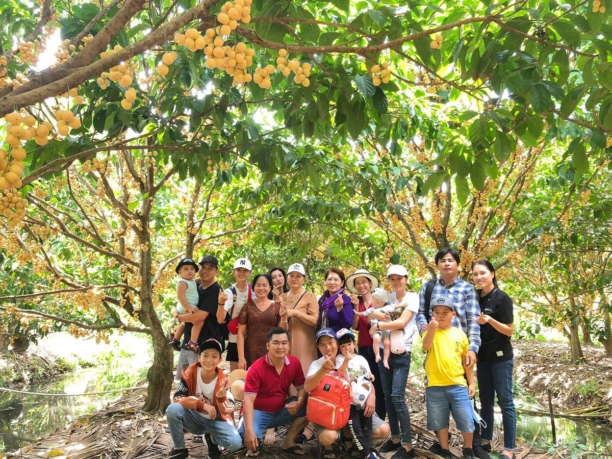 Top 21 vườn trái cây đẹp nhất Cần Thơ không thể bỏ qua (2022)