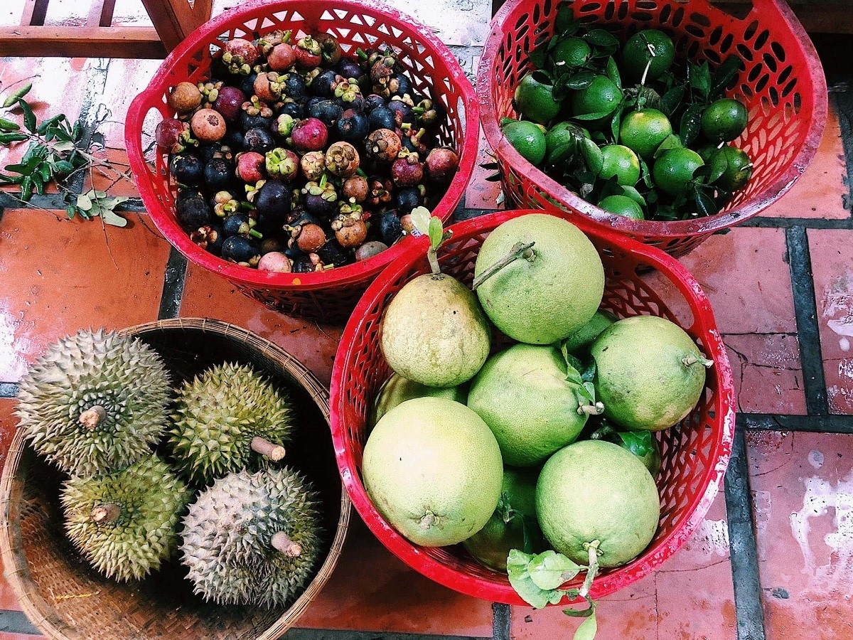 Top 21 vườn trái cây đẹp nhất Cần Thơ không thể bỏ qua (2022)