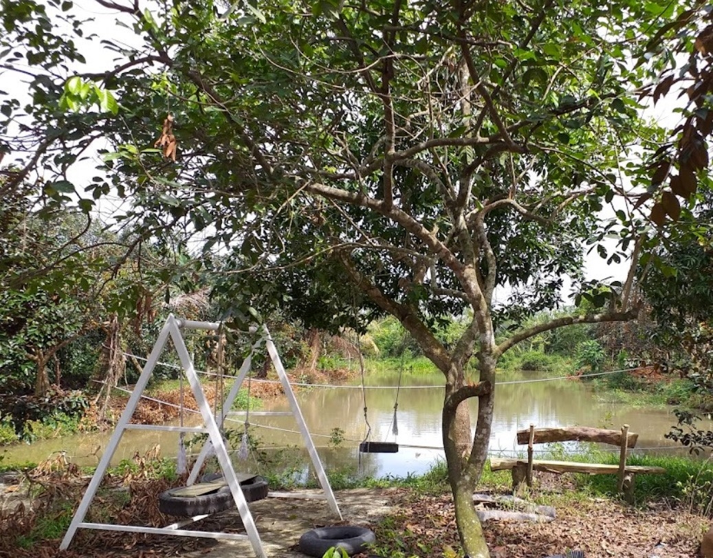 Miệt vườn Cần Thơ - Vườn trái cây Phong Điền của Du lịch Phong Điền